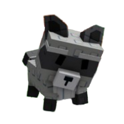 Racon